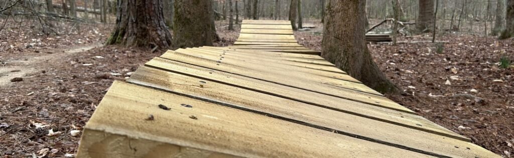 Wooden feature on mountain bike trail.