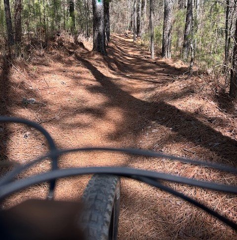 A view of a Southeast e-mountain bike trail ride at Talking Rock Nature Park from over the handlebars of an eMTB.